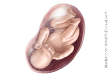 c0253488_16182414.png