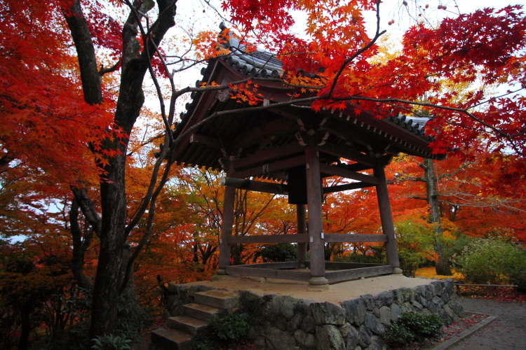 常寂光寺_e0051888_3473769.jpg