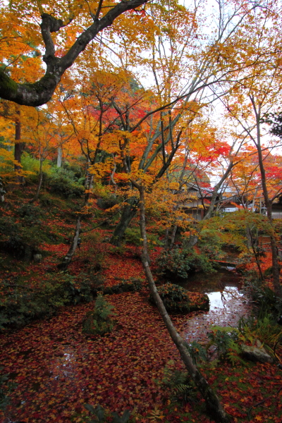 常寂光寺_e0051888_3482215.jpg