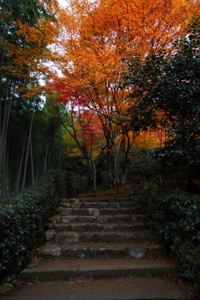 常寂光寺_e0051888_3485620.jpg