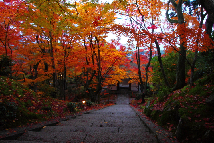 常寂光寺_e0051888_3502215.jpg