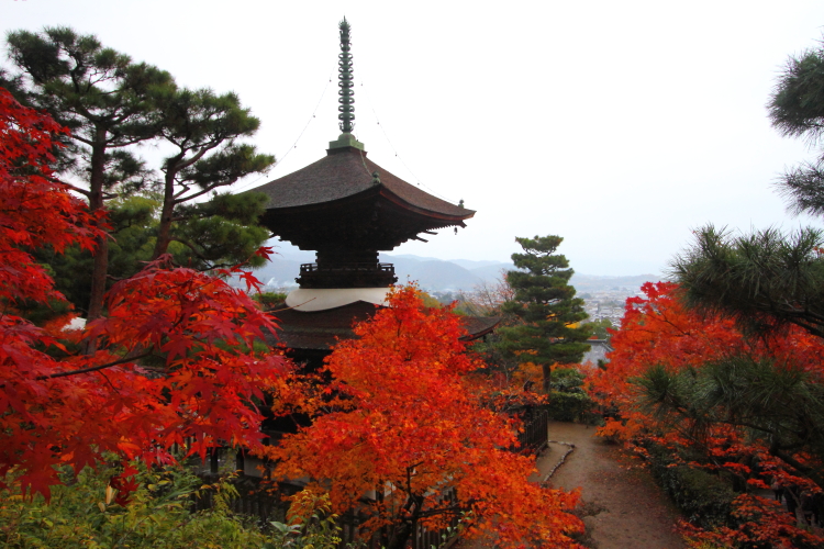 常寂光寺_e0051888_350339.jpg