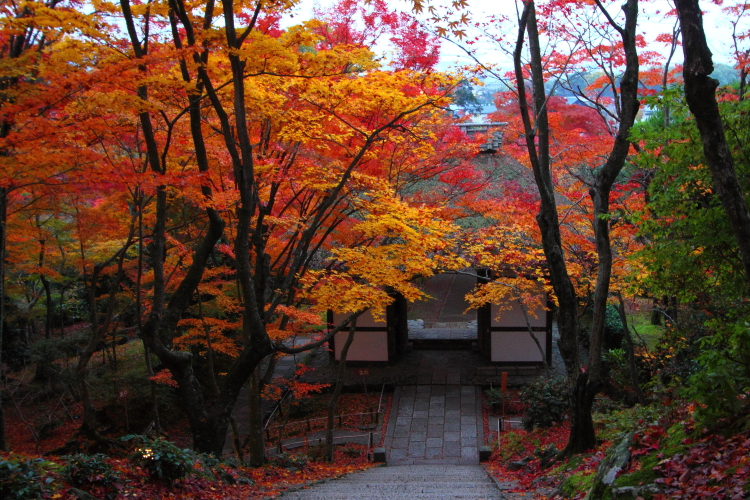 常寂光寺_e0051888_35125.jpg