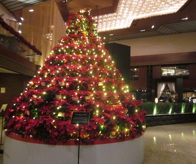 f0171089_1964153.jpg