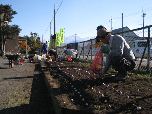 チューリップ植えました_b0281092_0391942.jpg