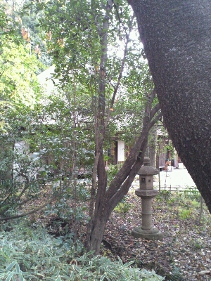 e0153994_14416100.jpg
