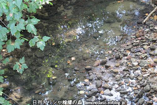 c0010496_401049.jpg