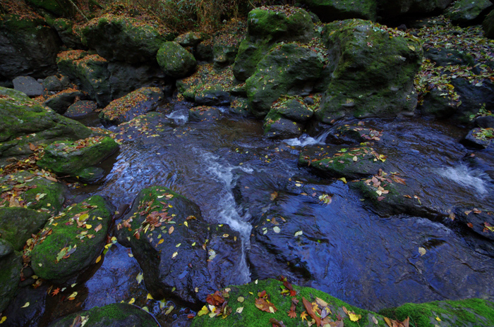 e0079696_10584273.jpg