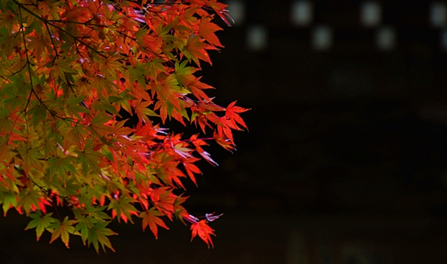 b0145398_032753.jpg