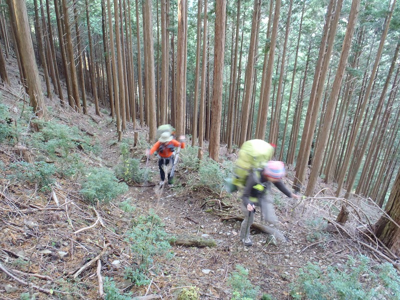 c0147398_10136.jpg