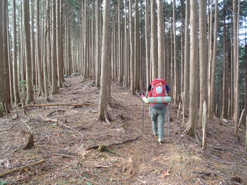 c0147398_103043.jpg