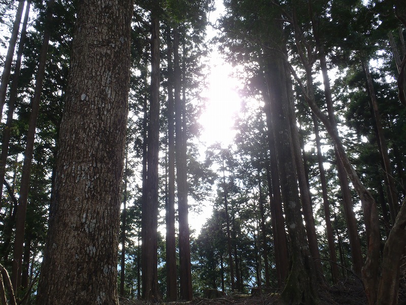 c0147398_105135.jpg