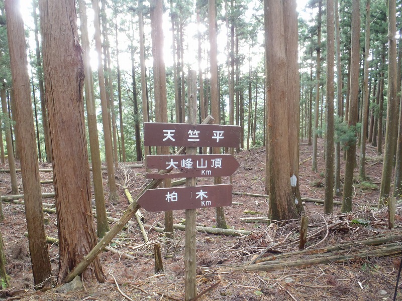 c0147398_105956.jpg