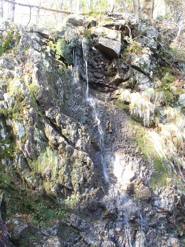 c0147398_132432.jpg