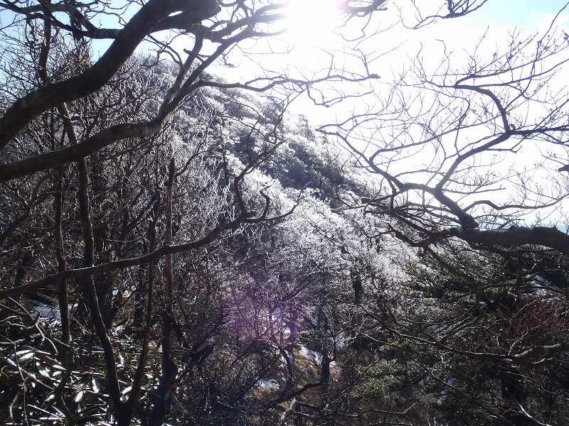 c0147398_152592.jpg