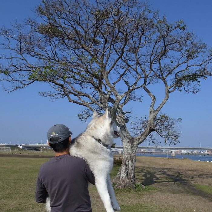 見よ、この食欲を!_c0049299_15305312.jpg
