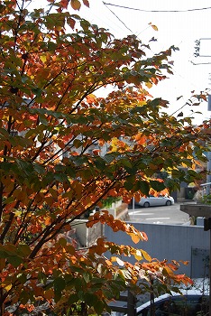 c0124100_17462661.jpg