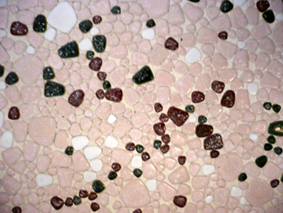 e0183600_181781.jpg
