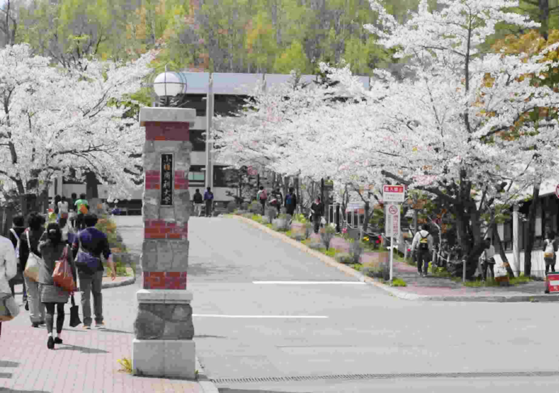 小樽商科大学 編入生ブログ 小樽商科大学 編入生ブログ