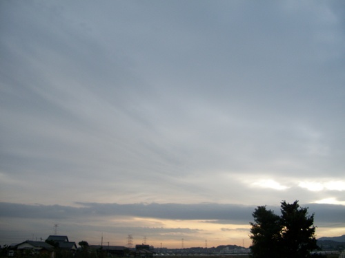 d0168003_16565880.jpg