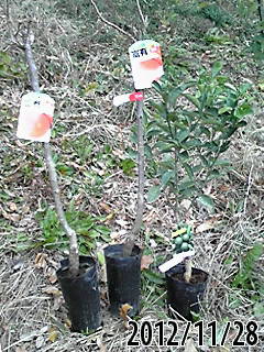e0270403_1402525.jpg