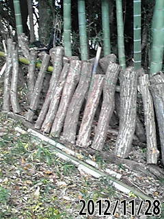 e0270403_1414444.jpg