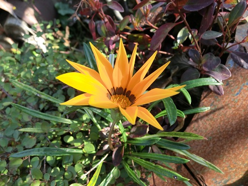 c0156104_231644100.jpg