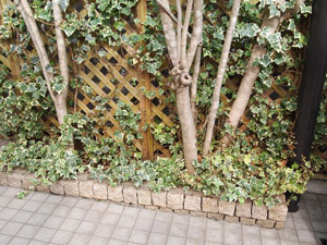 a0139105_2302115.jpg