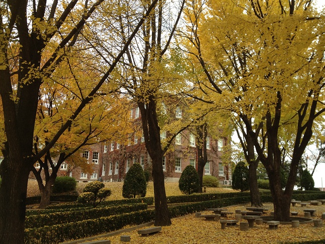 a0140305_1252100.jpg