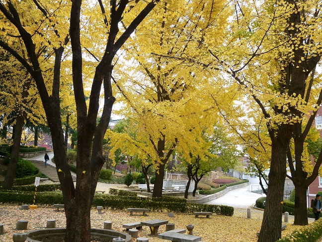 a0140305_1254334.jpg