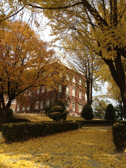 a0140305_1255276.jpg