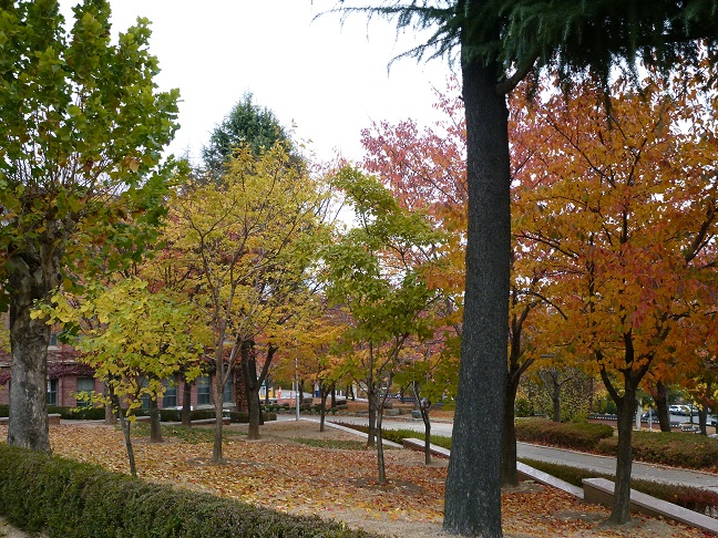 a0140305_139944.jpg