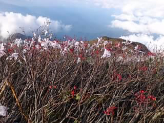 b0028109_22522892.jpg
