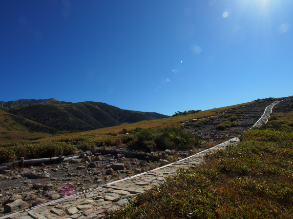 b0244811_236420.jpg