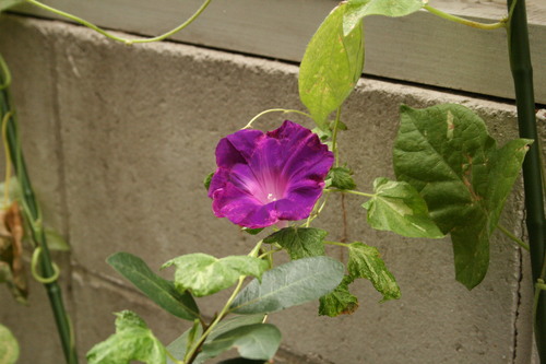 f0123712_0442669.jpg