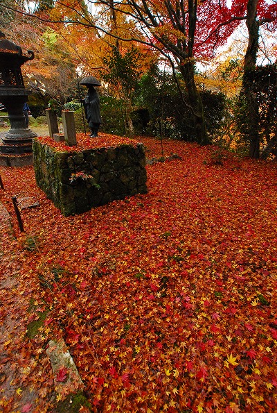 紅葉　－　金蔵寺_a0114714_2323172.jpg