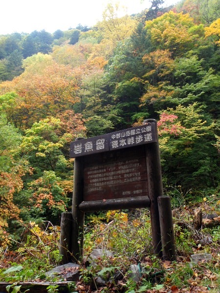 c0177814_110329.jpg