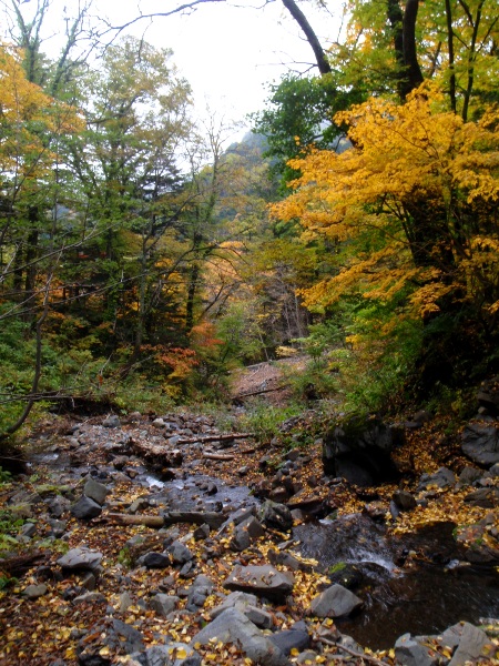 c0177814_1104115.jpg