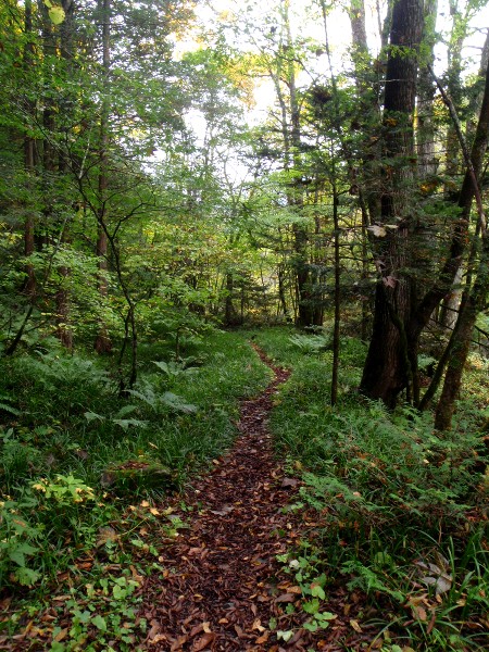 c0177814_174075.jpg
