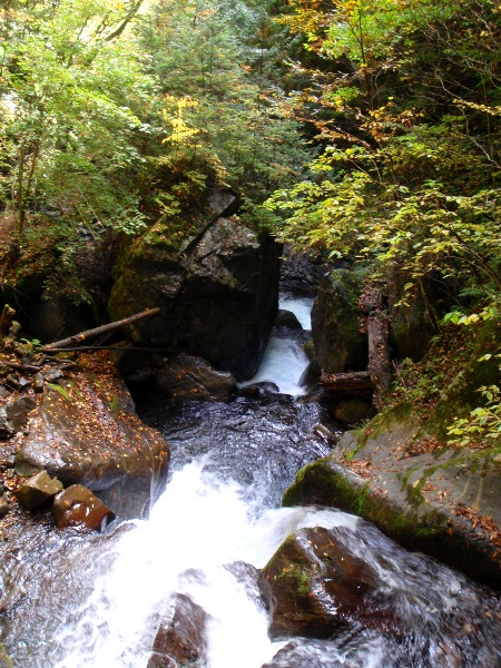 c0177814_191158.jpg