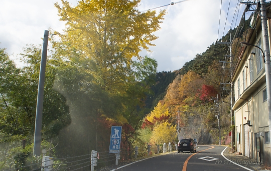 奥多摩・丹波山方面へ・・紅葉です２_c0196414_16244157.jpg