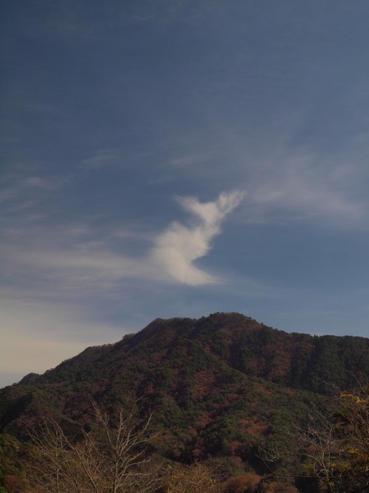 東郷山_c0116915_0153815.jpg