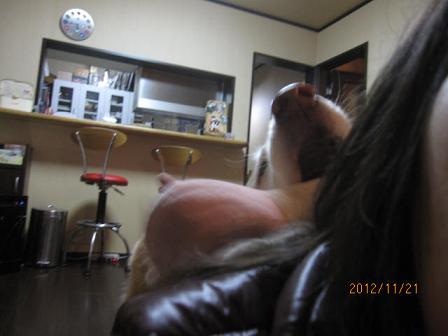 e0136815_1812660.jpg