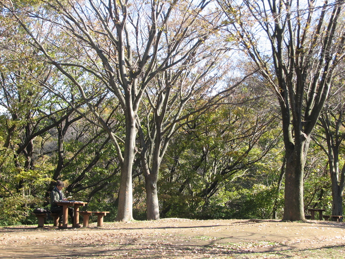 晩秋の舞岡公園「小谷戸の里」（その１）_b0221219_17343963.jpg