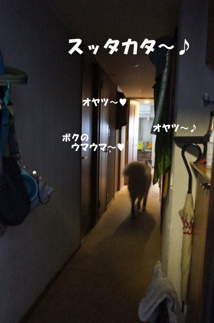 f0234023_21463299.jpg
