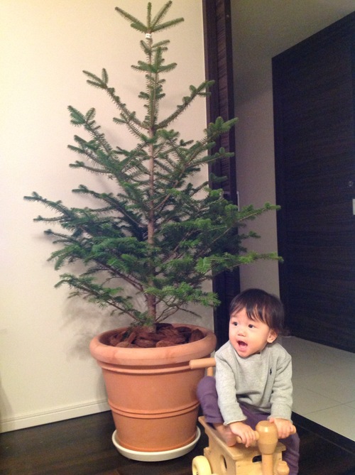 クリスマス支度開始~!_e0253026_7193250.jpg