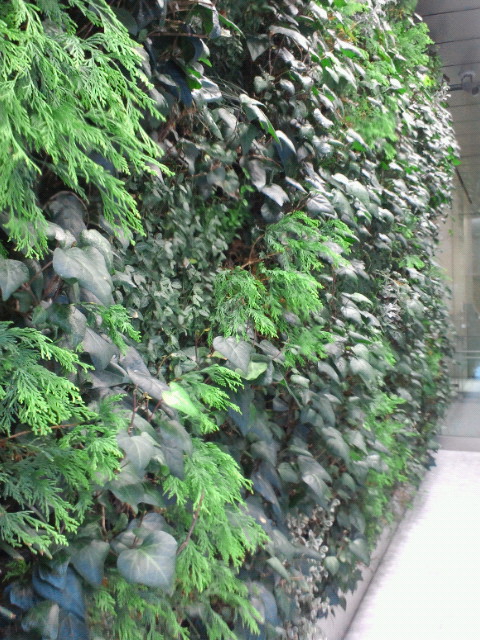 e0270632_20565611.jpg