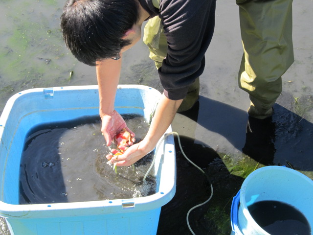 f0214235_05967.jpg