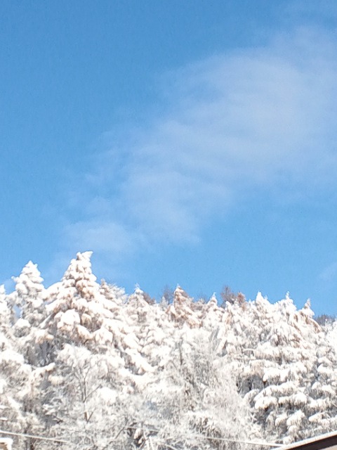 c0117239_9312836.jpg