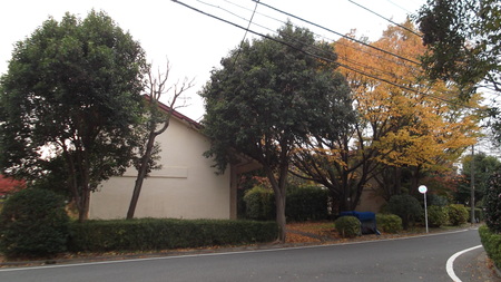 f0174939_18244373.jpg
